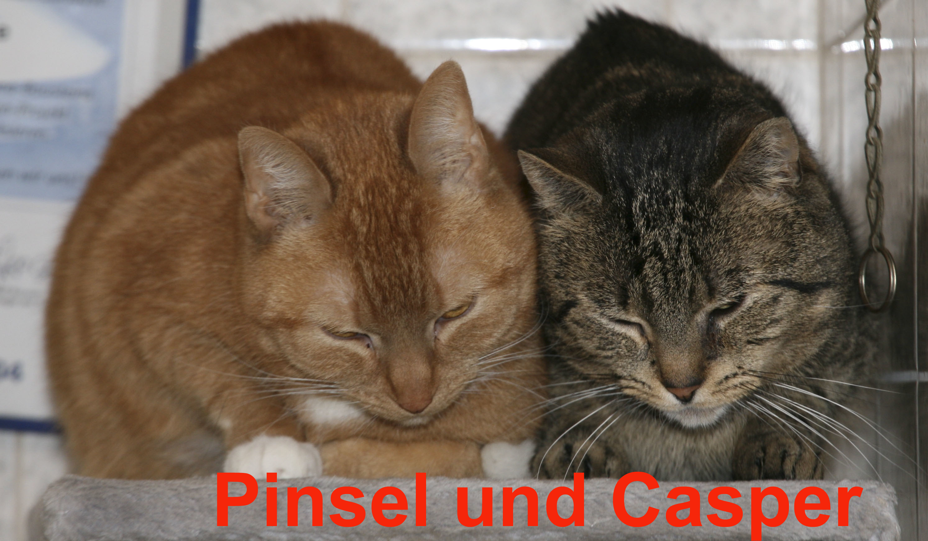 Pinsel und Kasper